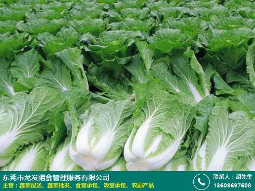 龙发膳食 专业绿色蔬菜批发，为商场、酒楼及工厂食堂提供长期新鲜配送服务