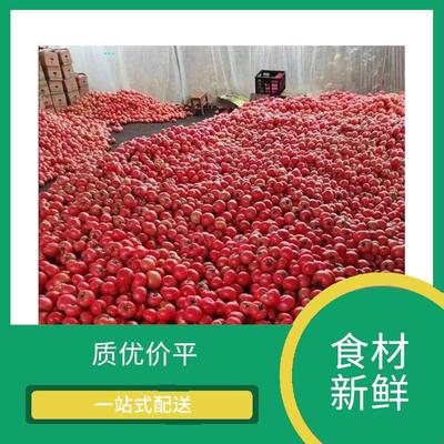 东莞蔬菜配送服务 保障新鲜蔬菜批发的关键环节