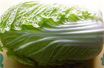 苏州蔬菜配送供应全攻略 价格、图片与批发采购指南