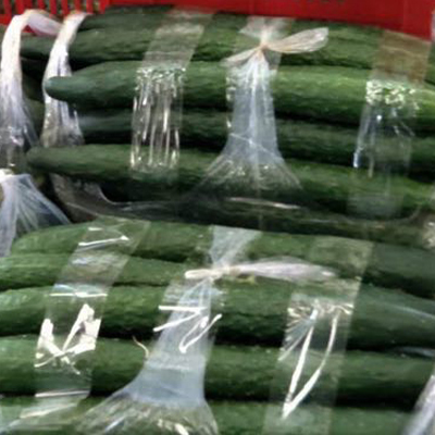 重庆市荣昌区三重天现代农业开发 优质新鲜蔬菜批发的一站式选择